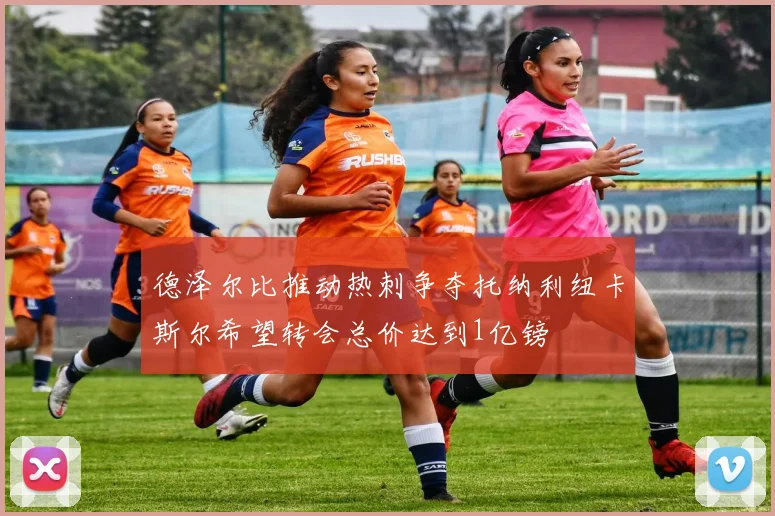 德泽尔比推动热刺争夺托纳利纽卡斯尔希望转会总价达到1亿镑